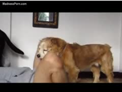 A pretty young, unfaithful wife wants to get severely drilled by a beast.